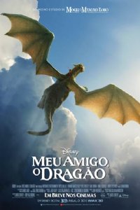 Meu Amigo, O Drago