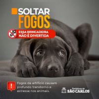 clique para visualizar