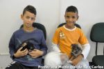 clique para visualizar