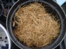 clique para visualizar